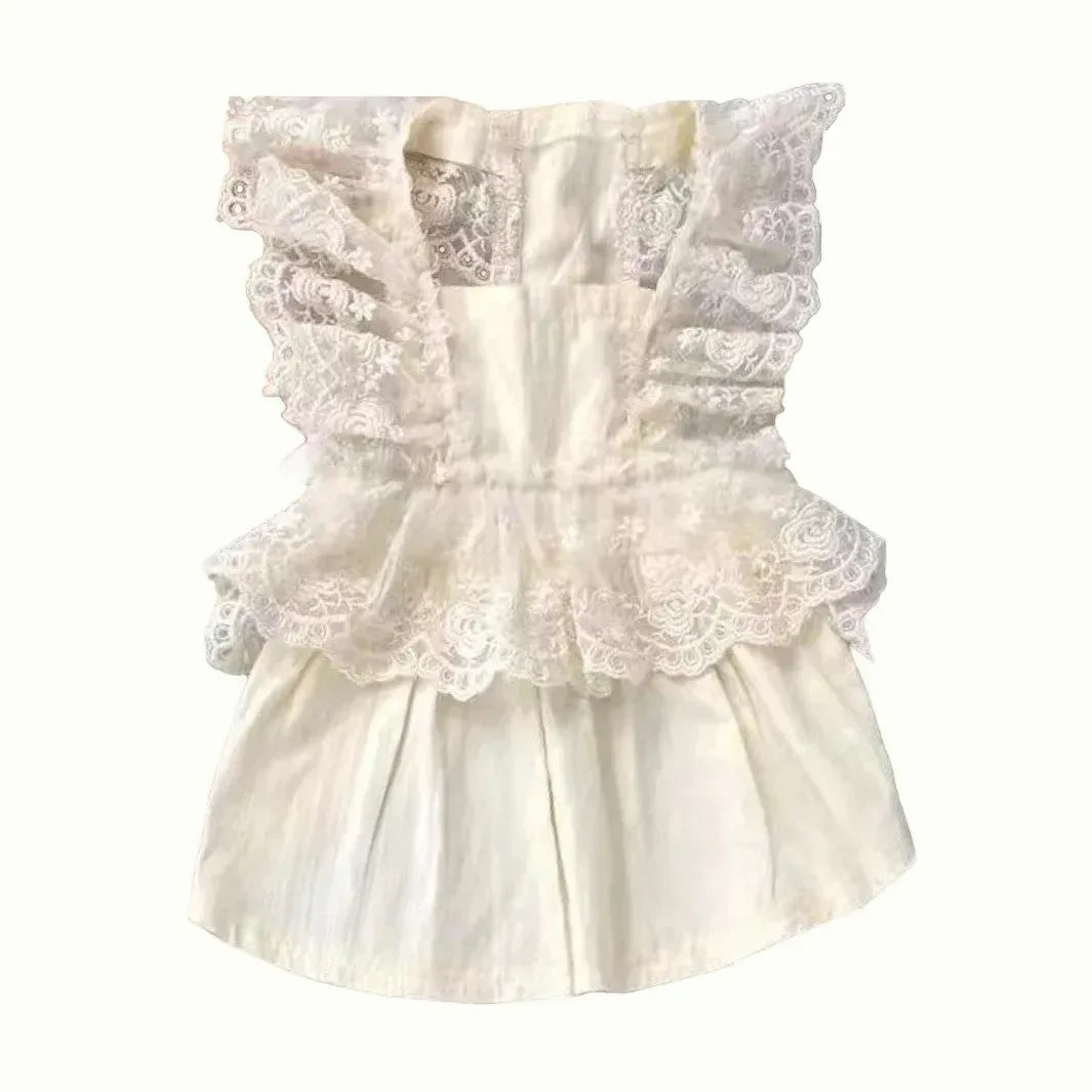 Princess Korean Style Lace Dress for Pet