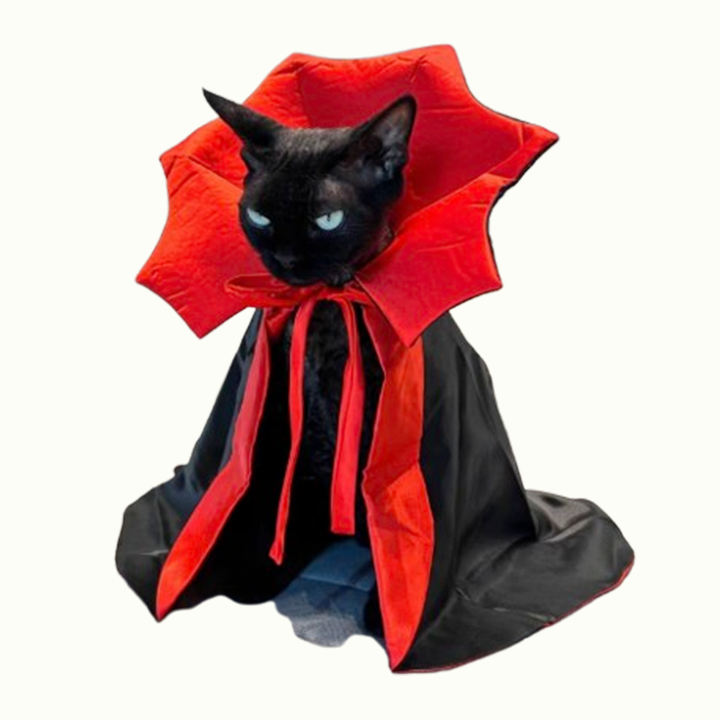Dracula Pet Halloween Costume S