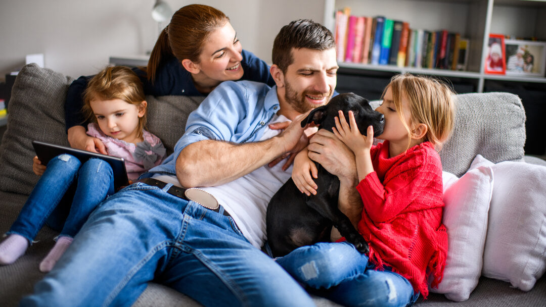 Small Paws, Big Love: The 30 Best Small Dogs Breeds for Families CityBear