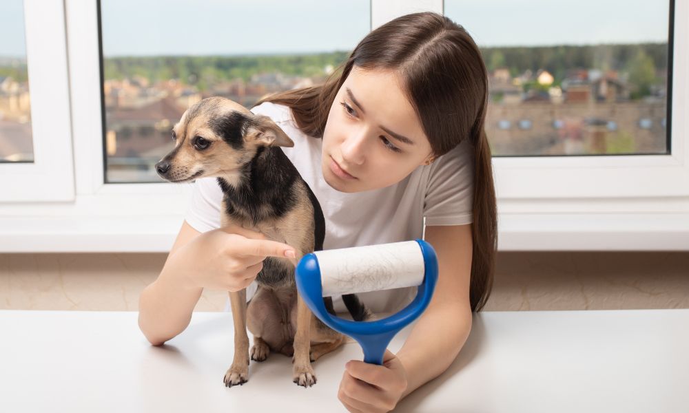 All About Shedding In Puppies