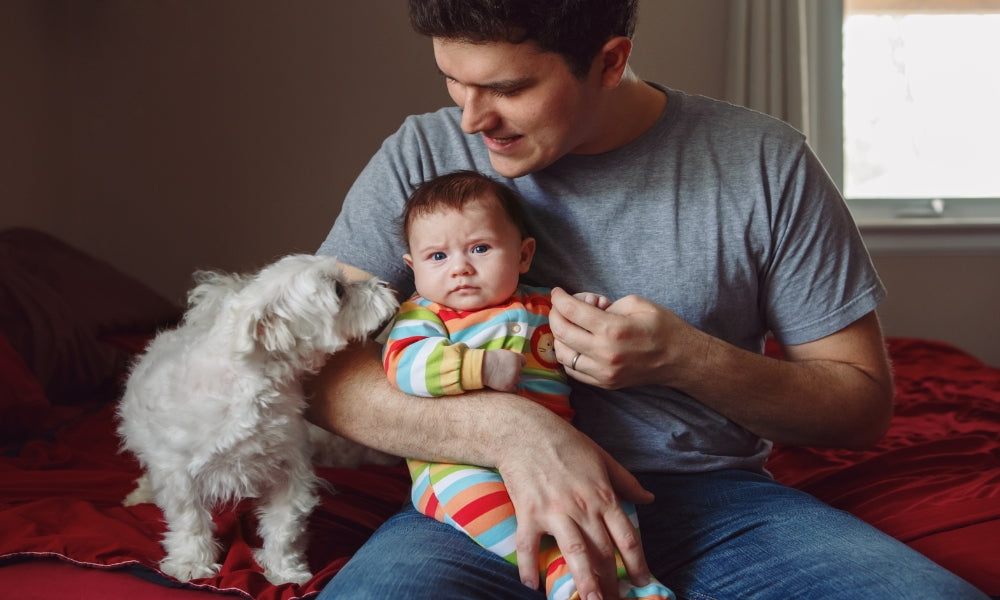 Dogs With Newborns How To Prepare And Introduce Your Dog To A Baby