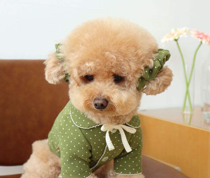 Dressing Up Your Small Dog: Tips and Trends for Fashionable Pups