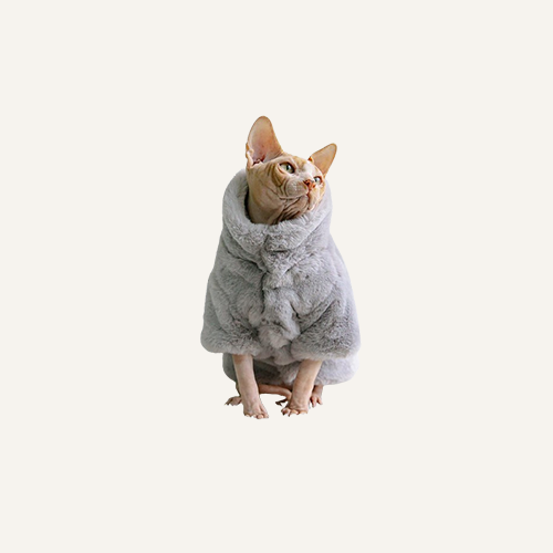 Sphynx Coats