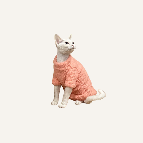 Sphynx Sweaters