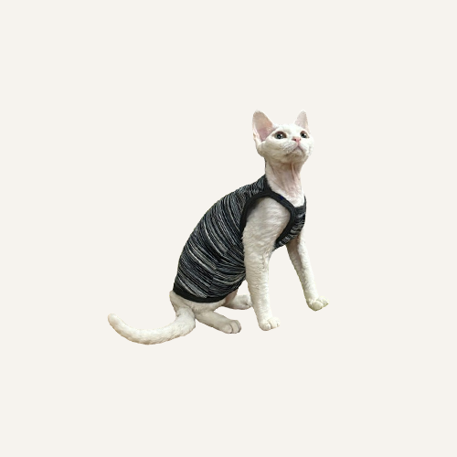 Sphynx Tees & Tops