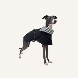 Italian Greyhound and Whippet Clothes