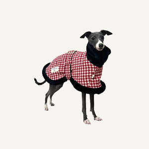 Sighthound-Coats CityBear