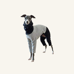 Sighthound-Onesies CityBear