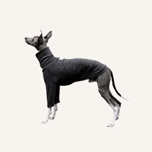Sighthound-Sweaters CityBear