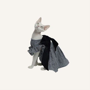 Sphynx Dresses