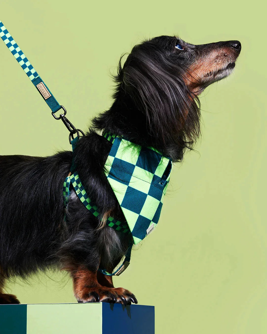 Prynwan Prynometry Step-In Harness Checkered Green