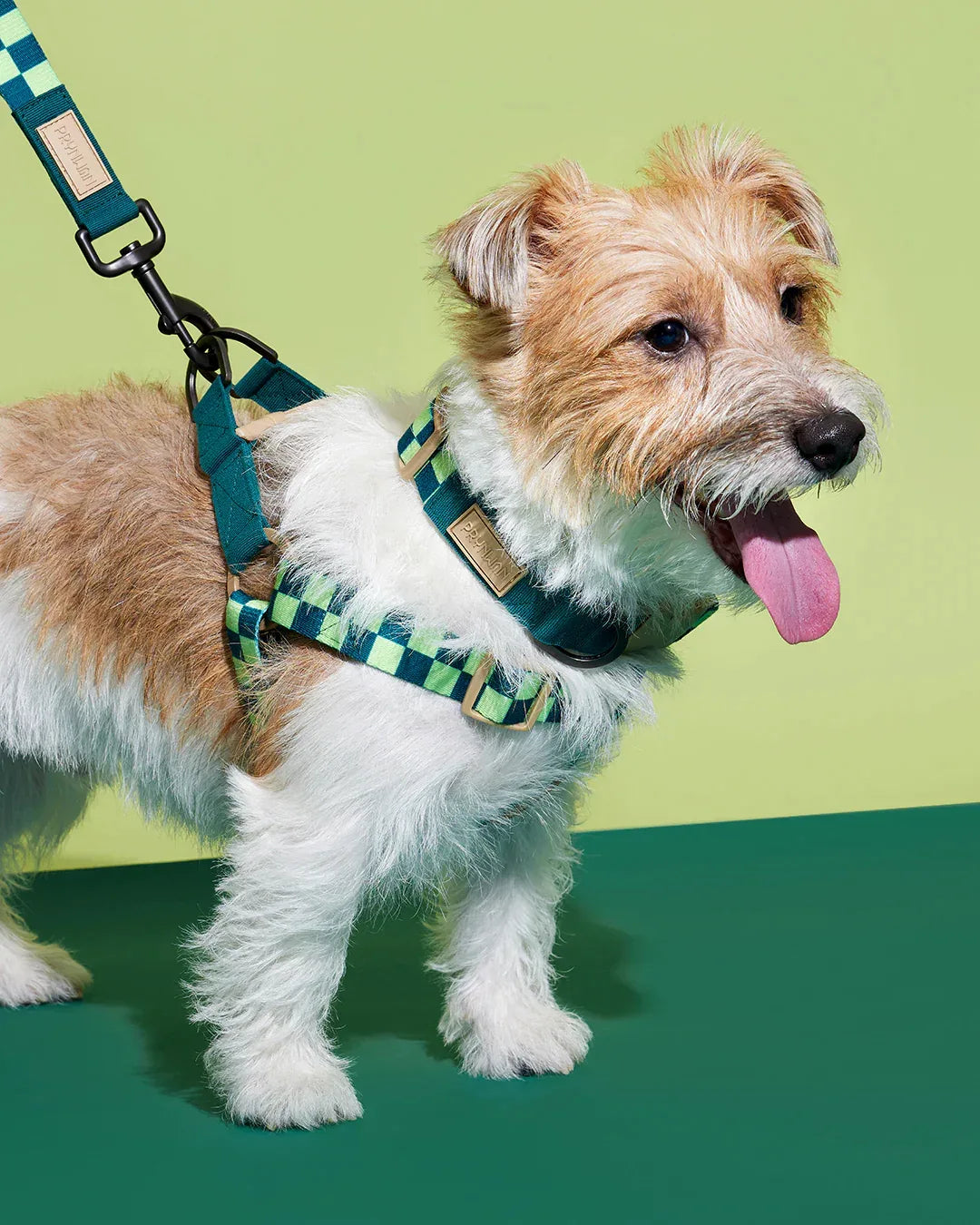 Prynwan Prynometry Step-In Harness Checkered Green