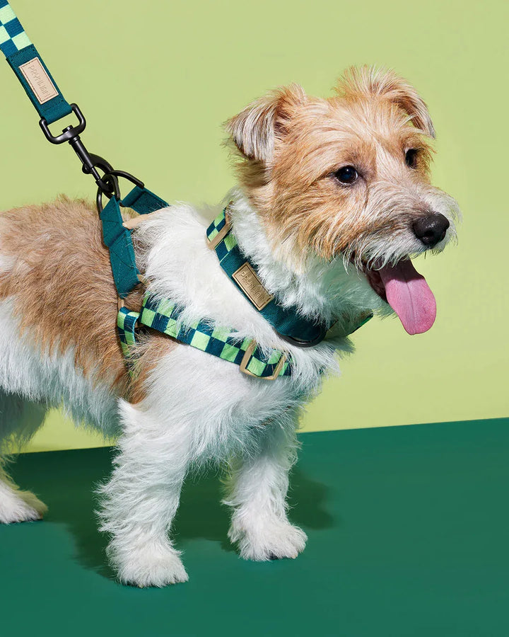 Prynwan Prynometry Step-In Harness Checkered Green