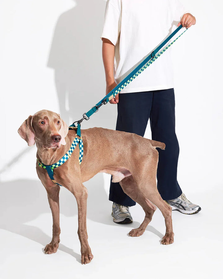Prynwan Prynometry Step-In Harness Checkered Green