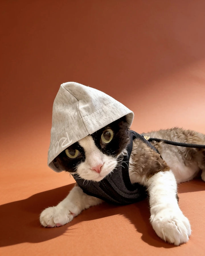 A black and white cat wearing a light gray hooded pet black harness and leash.