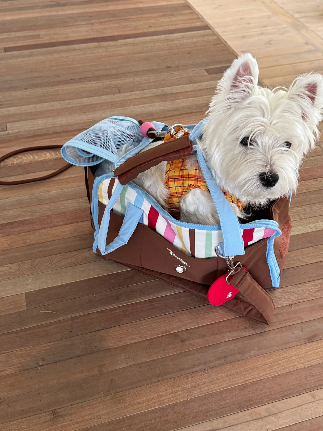 Tagi Daily Cat and Small Dog Carrier Bag