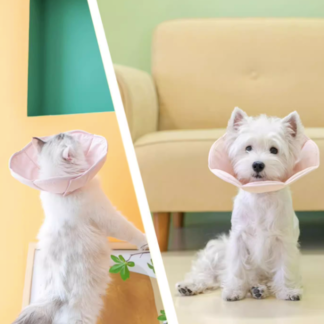 Two pets wearing pink e-collar collars in different settings.