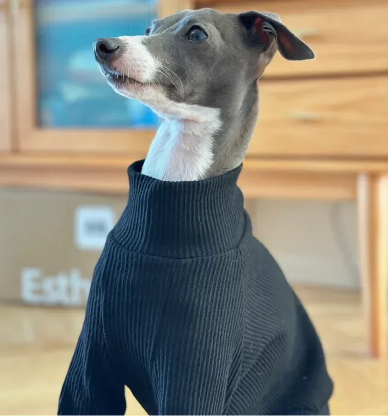 Antistatic Cotton Full-Body Onesies for Italian Greyhound and Whippet