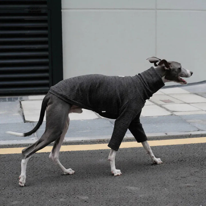 Highneck Slim Fit Base Sweater for Italian Greyhound and Whippet