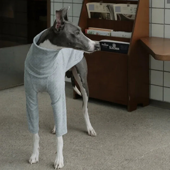 Highneck Slim Fit Base Sweater for Italian Greyhound and Whippet