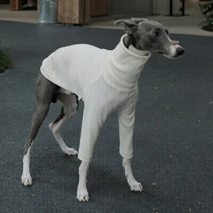 Highneck Slim Fit Base Sweater for Italian Greyhound and Whippet