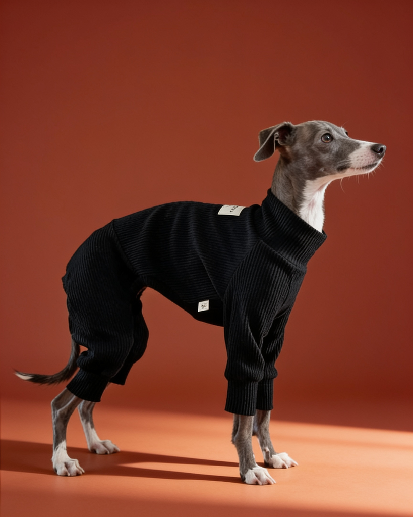 antistatic-soft-cotton-four-legged-dog-onesies-for-italian-greyhound-and-whippet-bedlington-best-sighthound-dog-owner-gifts - CityBear