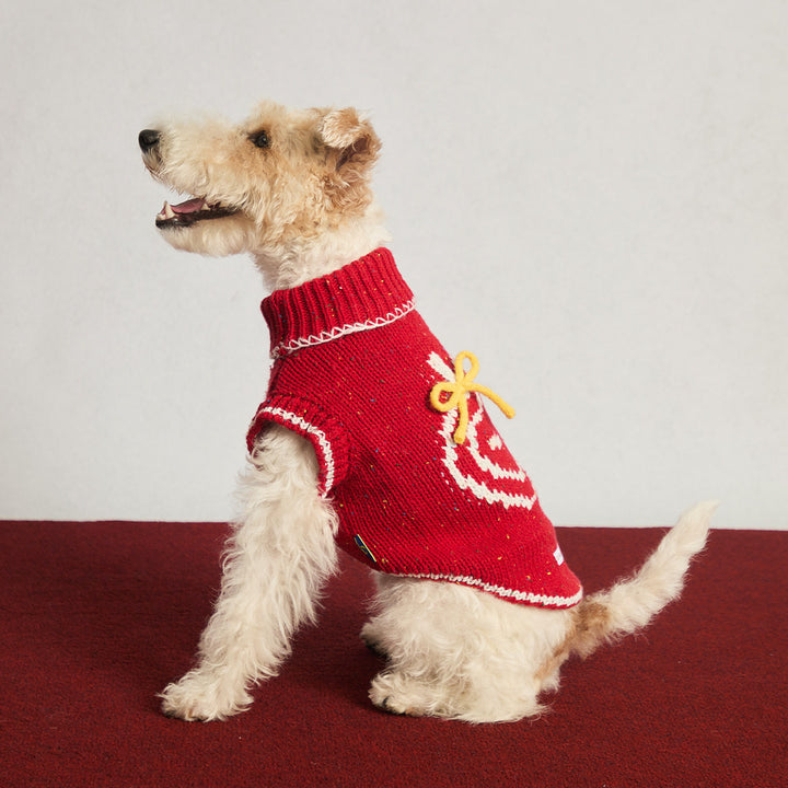 Apple Bite Pet Human Matching Knitted Sweater