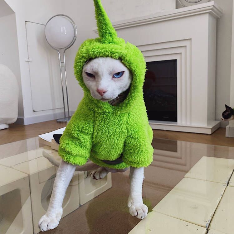 Teletubbies Hoodies Sphynx Cat Costumes