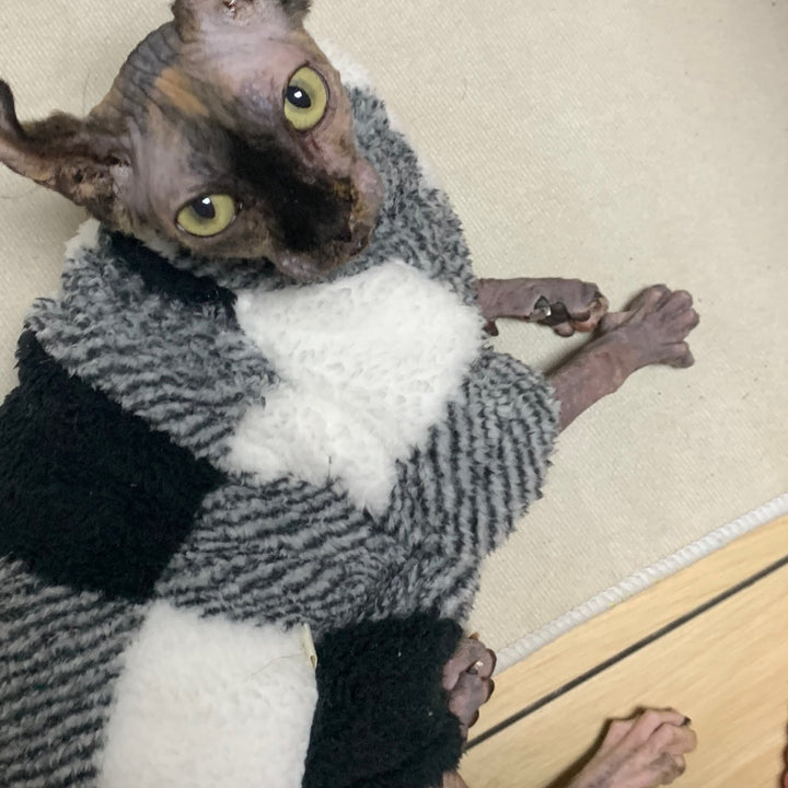 Sphynx Cat Fleece Sweater