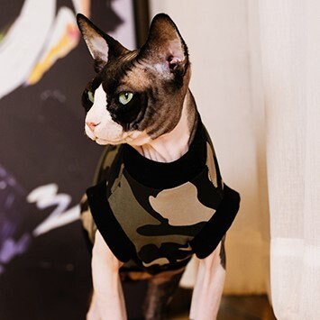 Camouflage Sphynx Cat Tank Tops