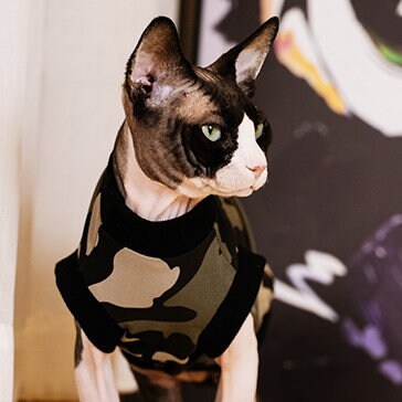 Camouflage Sphynx Cat Tank Tops