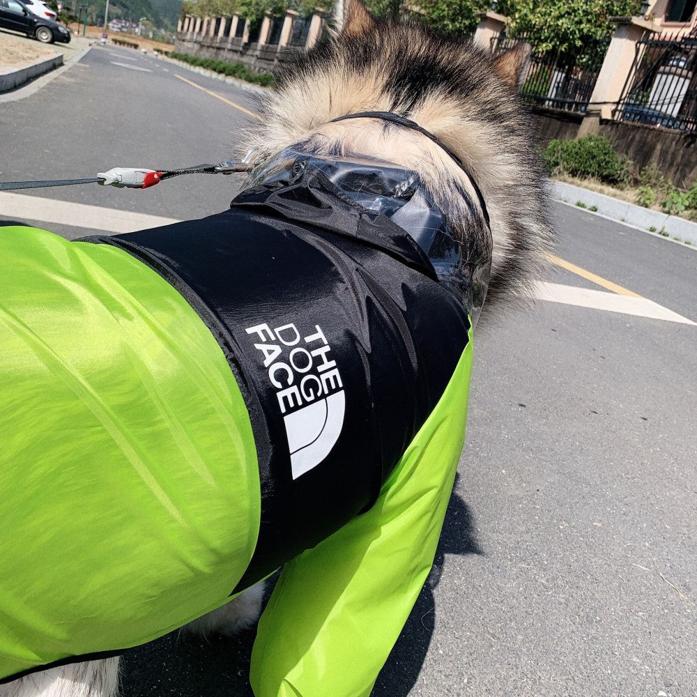 The Dog Face Dog Human Matching Raincoat CityBear