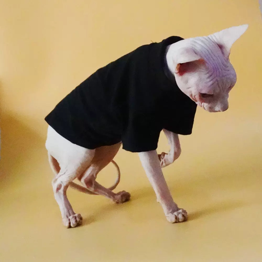 Basic Highneck Sphynx Cat Clothes