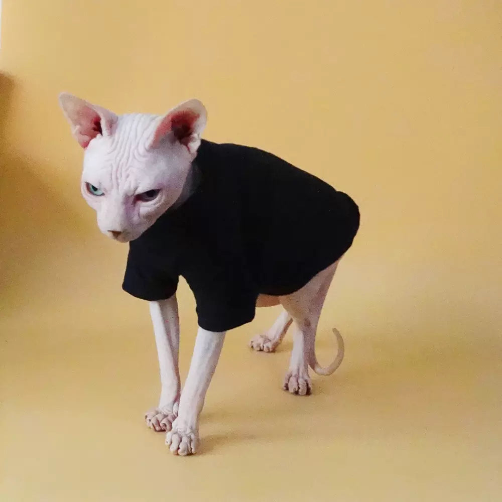 Basic Highneck Sphynx Cat Clothes