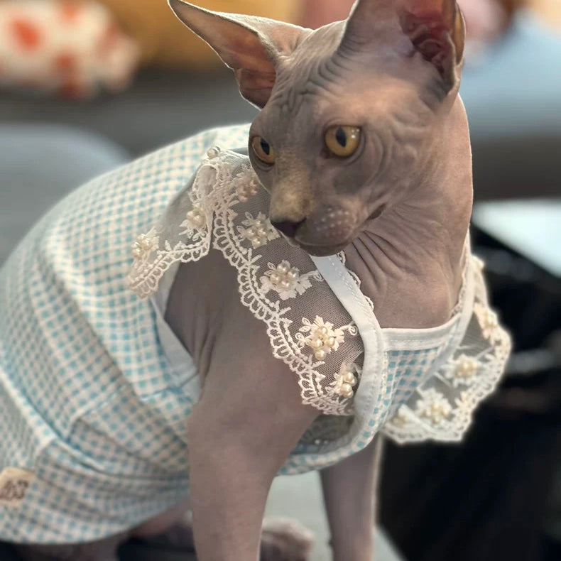 Lace Ruffle Sleeve Gingham Sphynx Cat Camisoles