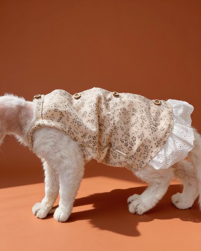 Flowers Sphynx Cat Cami Dress CityBear