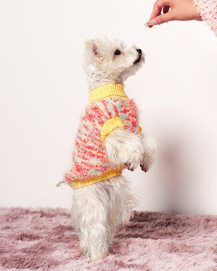 Bubble Pop Pet Sweater