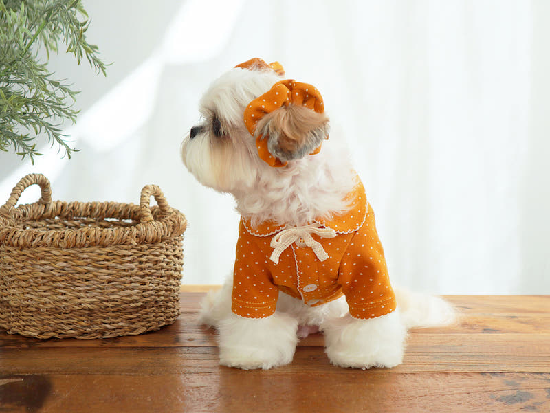 Buttercup Bow Dotty Cat and Small Dog Pajama