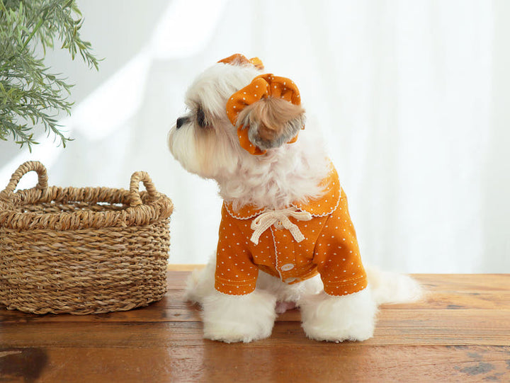 Buttercup Bow Dotty Cat and Small Dog Pajama