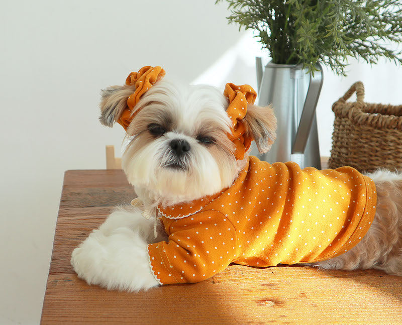 Buttercup Bow Dotty Cat and Small Dog Pajama