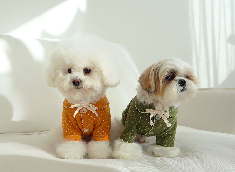 Buttercup Bow Dotty Cat and Small Dog Pajama