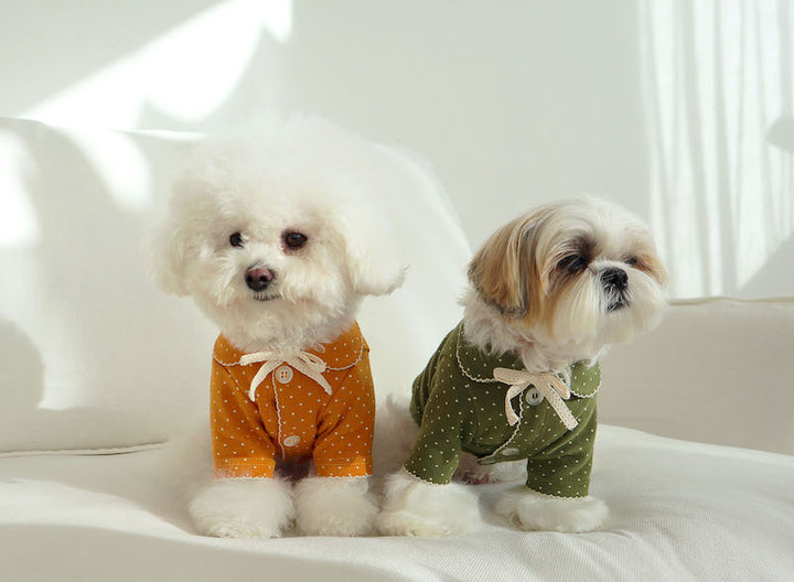 Buttercup Bow Dotty Cat and Small Dog Pajama
