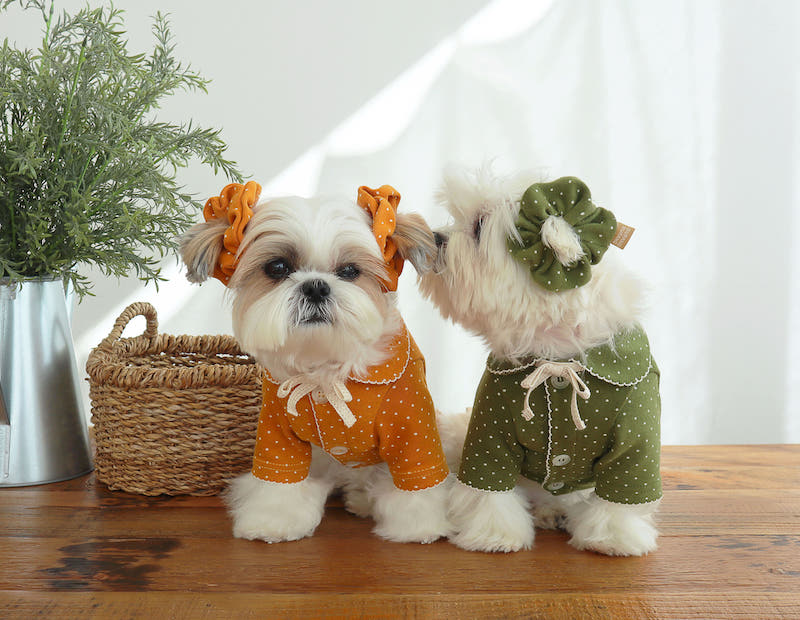 Buttercup Bow Dotty Cat and Small Dog Pajama