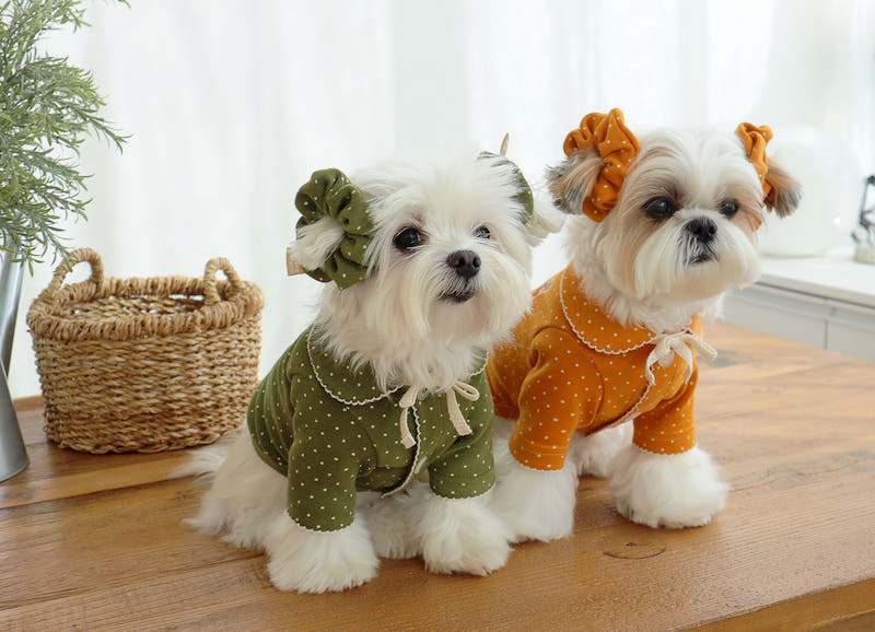 Buttercup Bow Dotty Cat and Small Dog Pajama