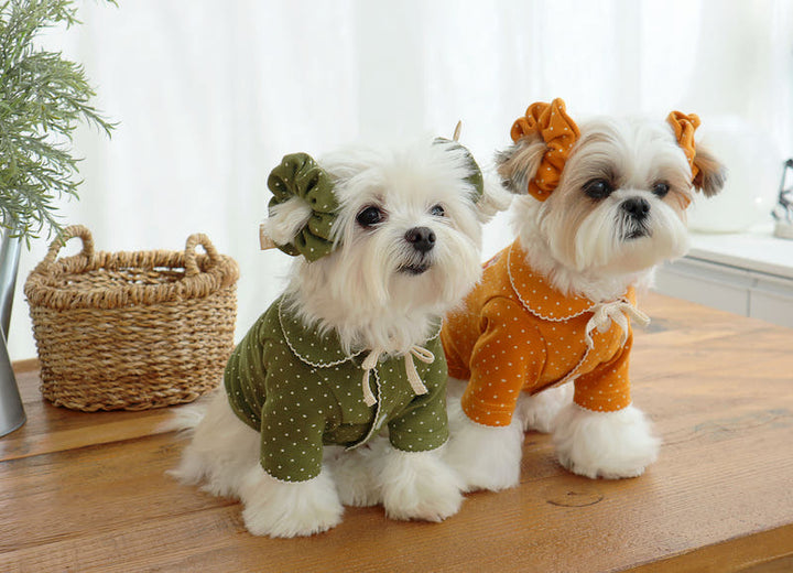 Buttercup Bow Dotty Cat and Small Dog Pajama