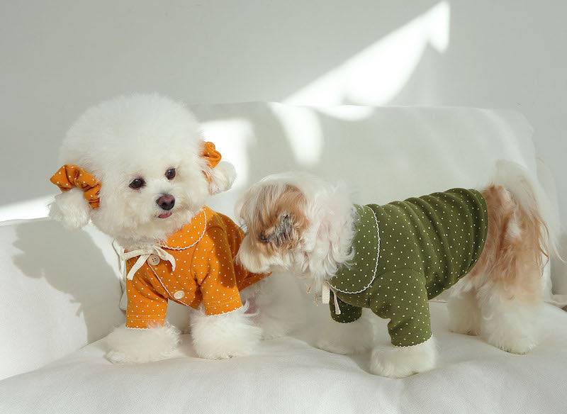 Buttercup Bow Dotty Cat and Small Dog Pajama