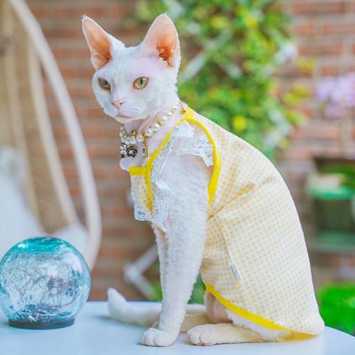 Lace Ruffle Sleeve Gingham Sphynx Cat Camisoles