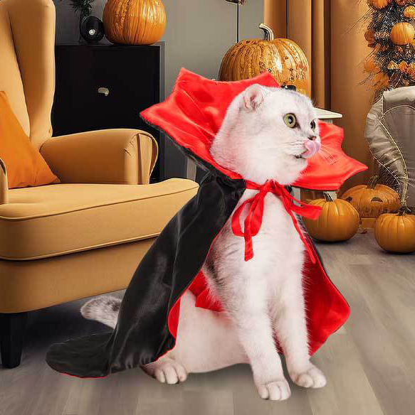 Dracula Pet Halloween Costume