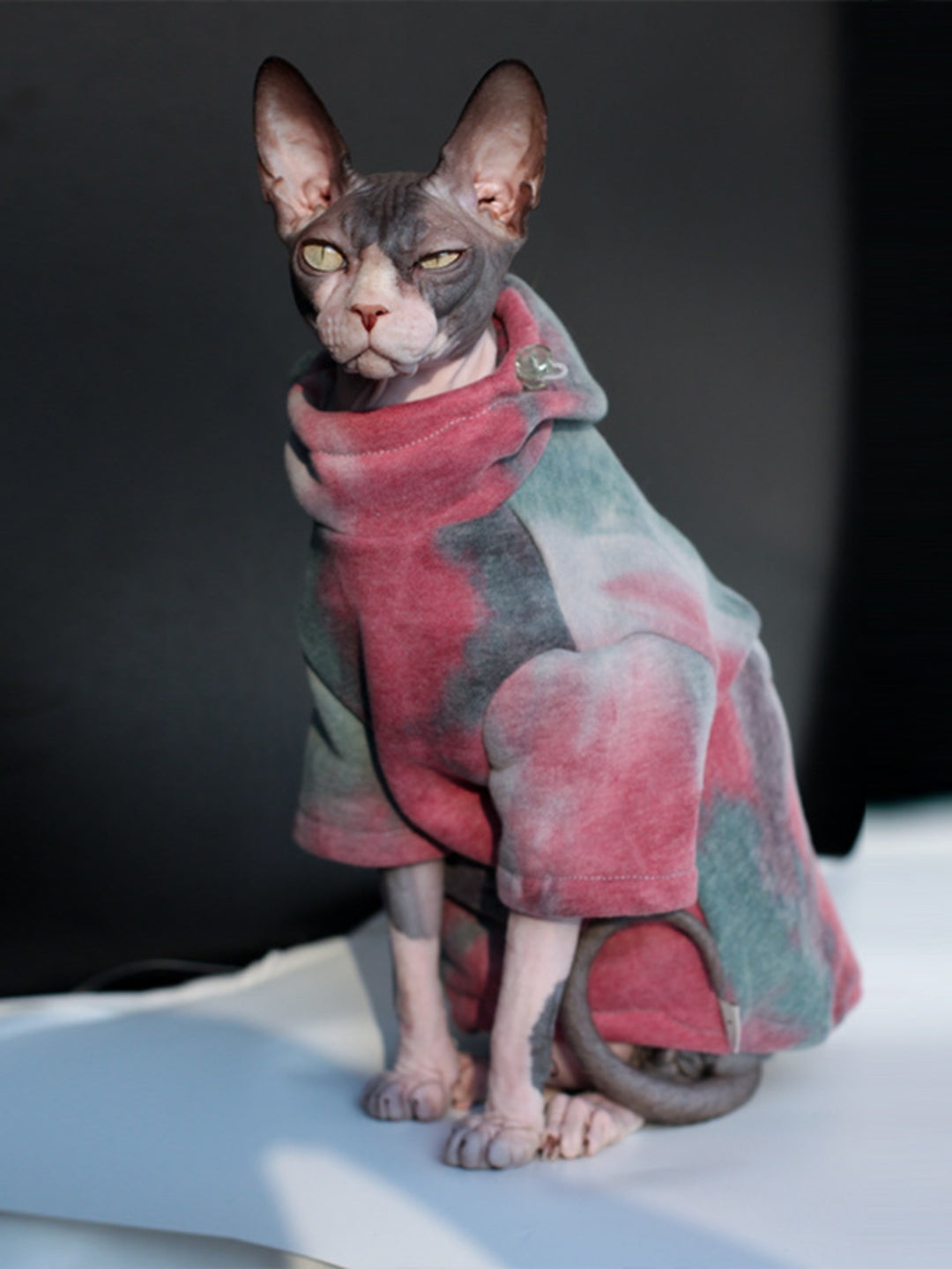 Tie Dye Sphynx Cat Hoodies