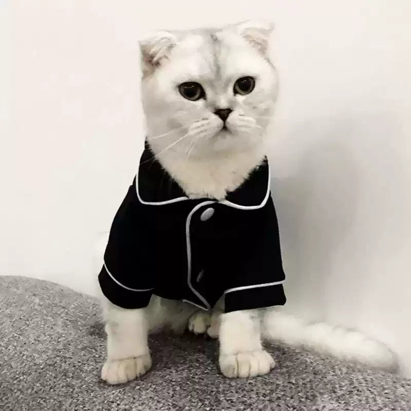 White cat wearing a black outfit with white buttons on a gray surface.